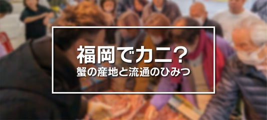 福岡でカニ？蟹の産地と流通のひみつ