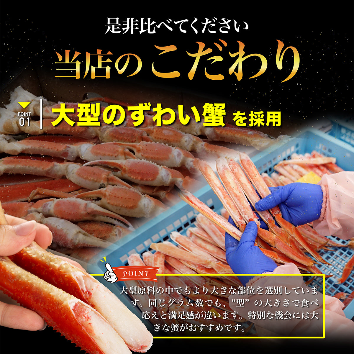 ボイルずわい蟹 ハーフポーション 800g