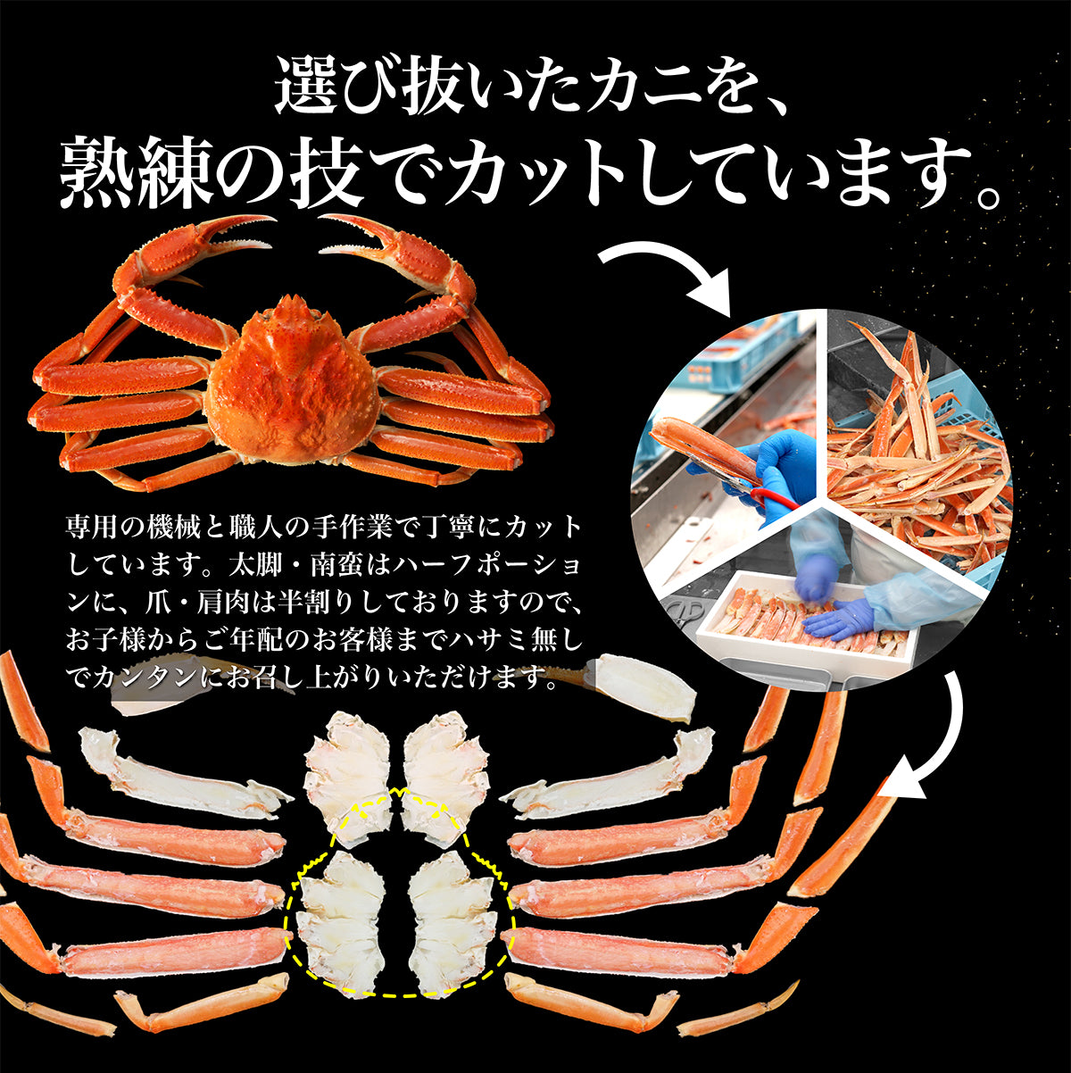 ボイルずわい蟹 ハーフポーション 1.6kg – CRABSTORY公式通販｜株式