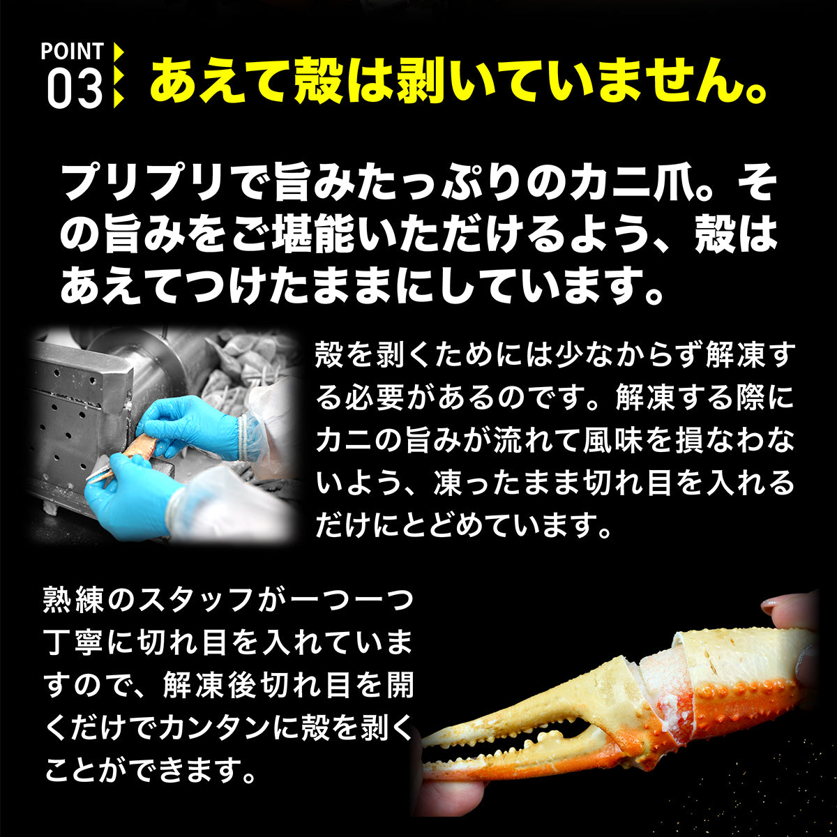 ボイルずわい蟹 爪 1kg – CRABSTORY公式通販｜株式会社TMフーズ