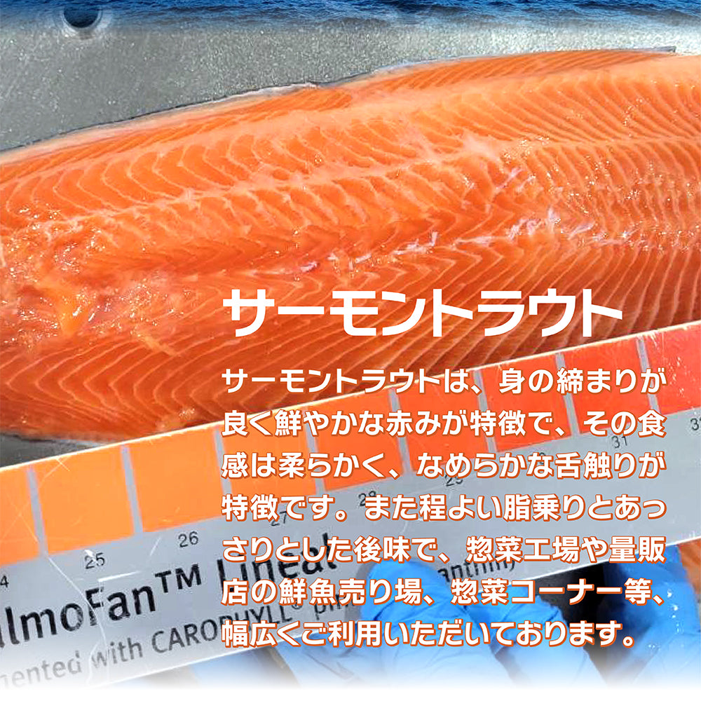 スモークサーモン ランダムスライス 業務用500gパック