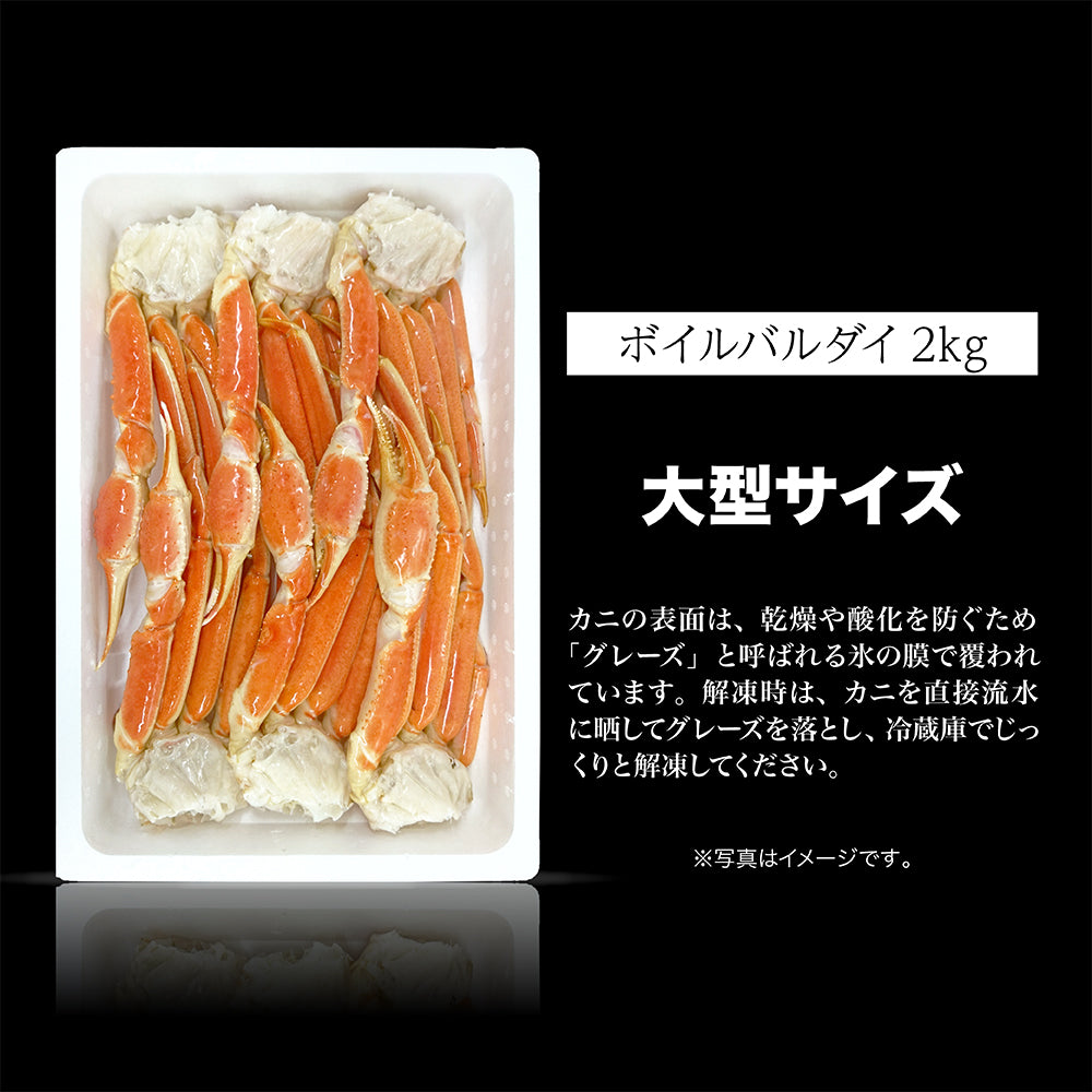 ボイルおおずわい蟹 セクション 2kg – CRABSTORY公式通販｜株式会社TM