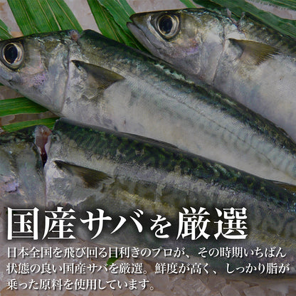 まろやかシメ鯖 フィレ 5枚セット