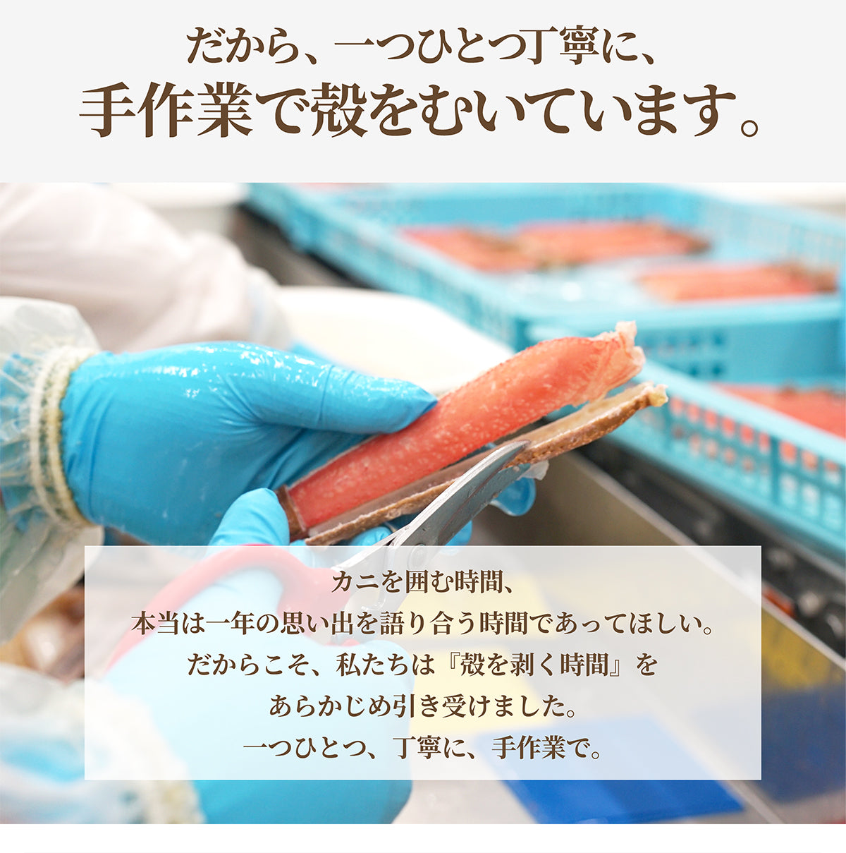 生ずわい蟹 棒ポーション 1kg 商品紹介 10